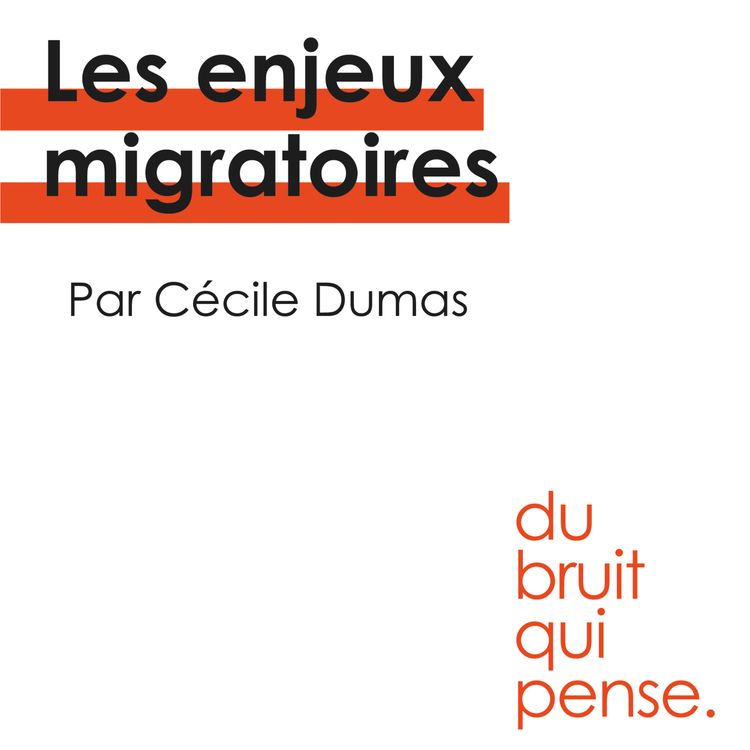 cover art for Les enjeux migratoires