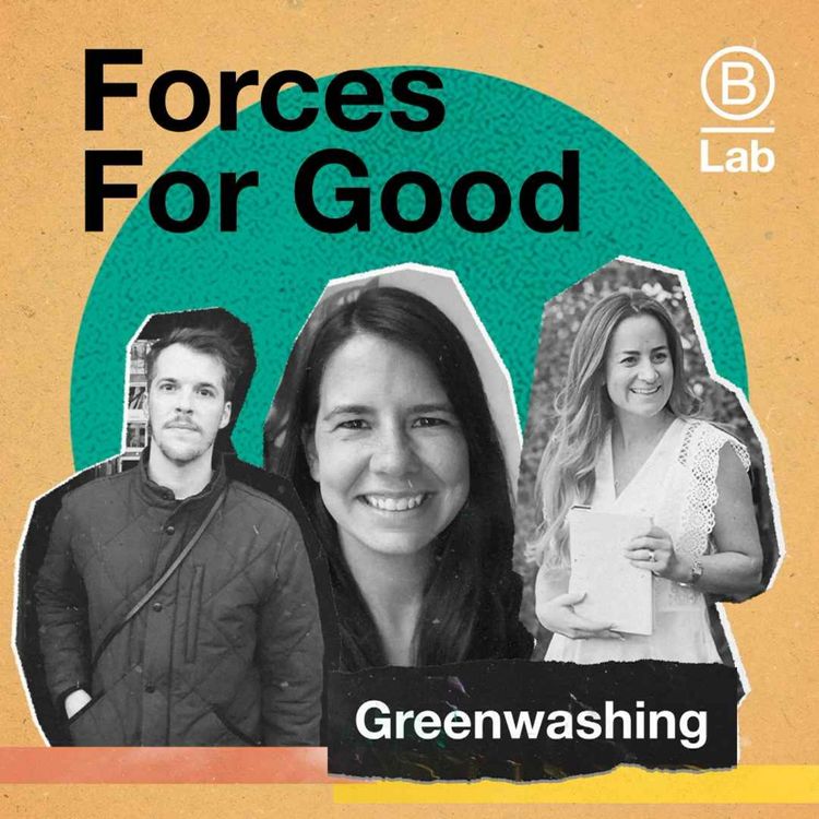 cover art for How can business combat greenwashing?