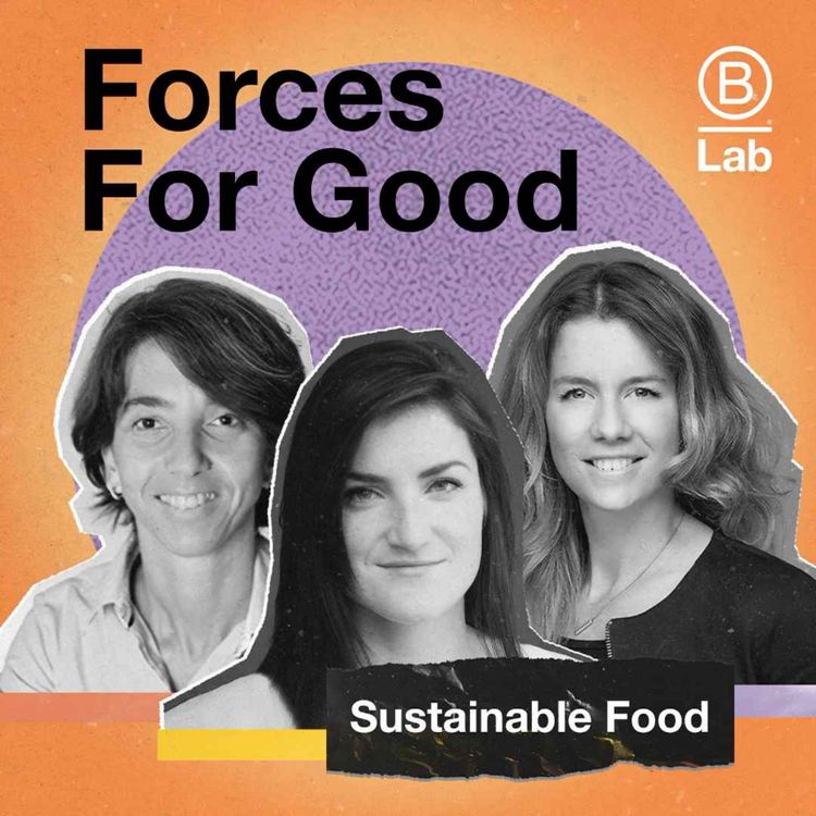 cover art for How can business support sustainable food production?