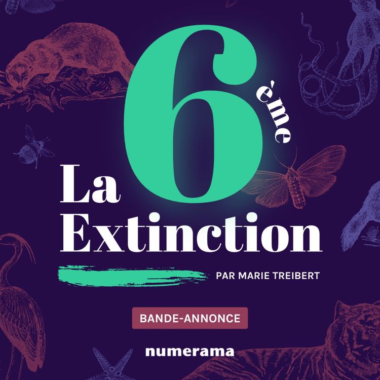 cover art for La 6e extinction (bande-annonce)