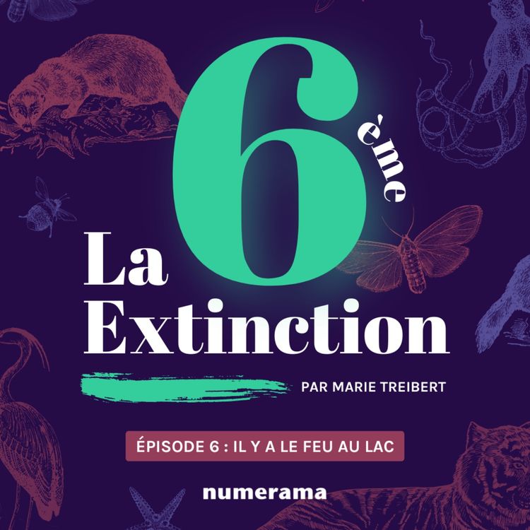 cover art for Épisode 6 : il y a le feu au lac