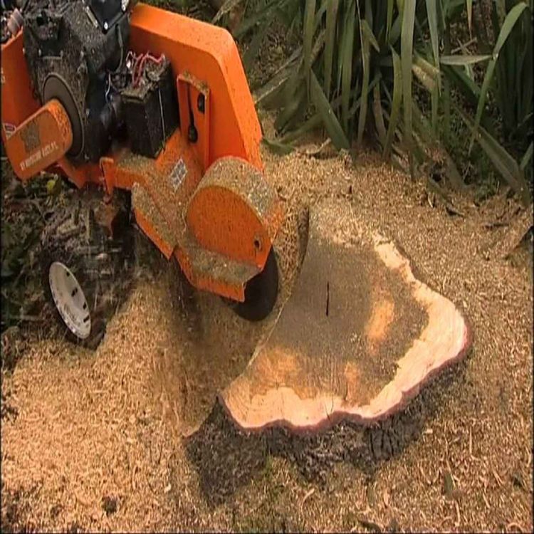 cover art for stump grinding near me