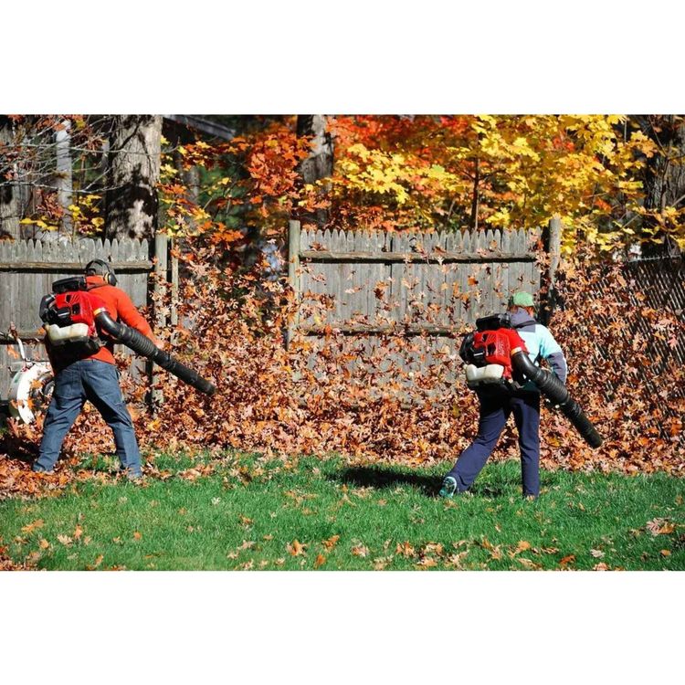 cover art for Fall Yard Clean up Lyme CT