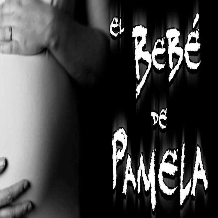 cover art for El bebé de Pamela