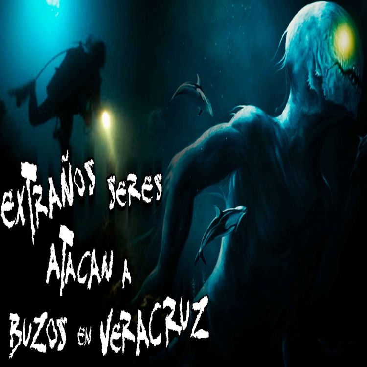 cover art for Extraños seres atacan a Buzos en Veracruz 