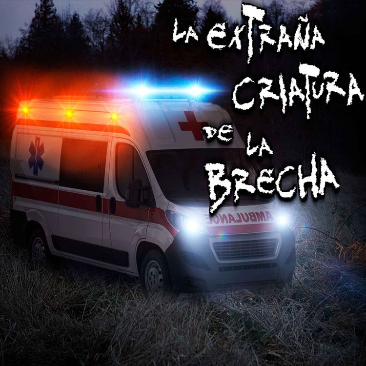 cover art for ATERRADORAS EXPERIENCIAS DE PARAMÉDICOS: Extraña criatura en la brecha