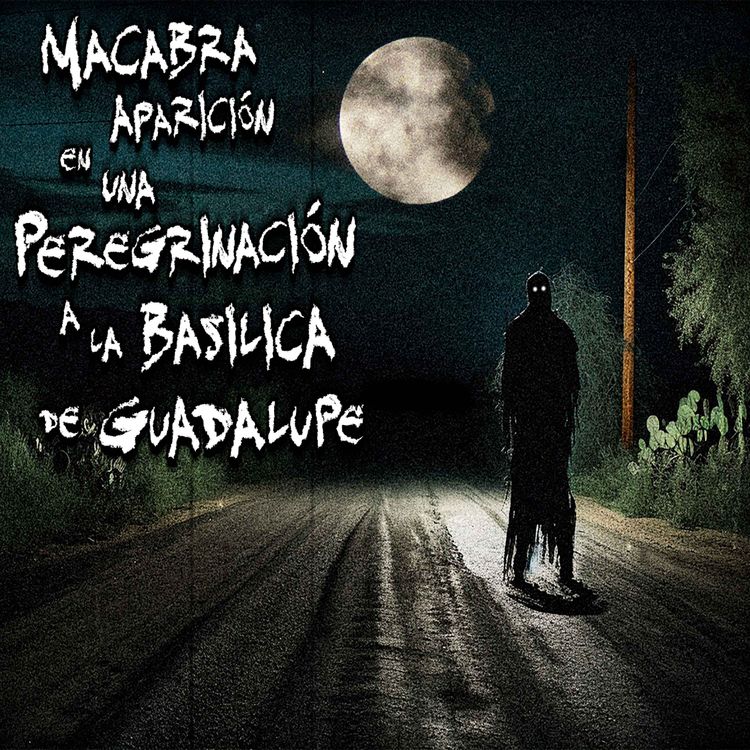 cover art for TERROR EN CARRETERA: Macabra aparición en la Carretera México - Tuxpan