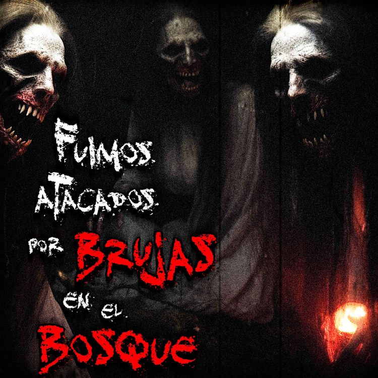 cover art for Las Brujas del Bosque de La Primavera