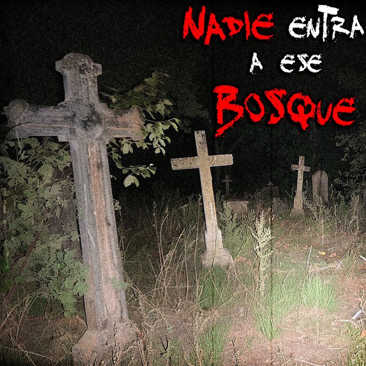 cover art for NO VAYAS al CEMENTERIO MALDITO en el BOSQUE