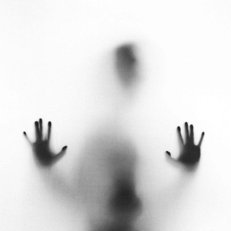 cover art for Gritos de la cripta el comienzo