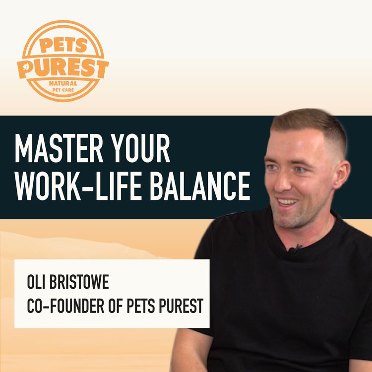 cover art for Master Your Work-Life Balance: Oliver Bristowe, Founder of Pets Purest | The Summit Ep.36