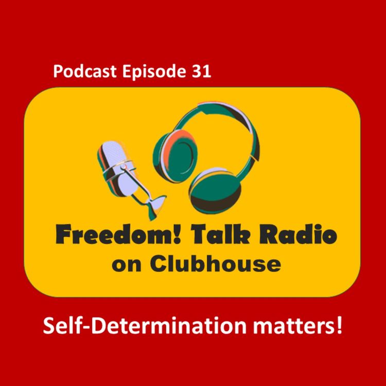 cover art for Willing tools uphold the 1999 Constitution – instrument of Fulanization