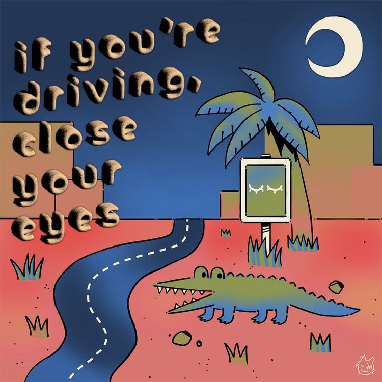 cover art for The Double Punch
