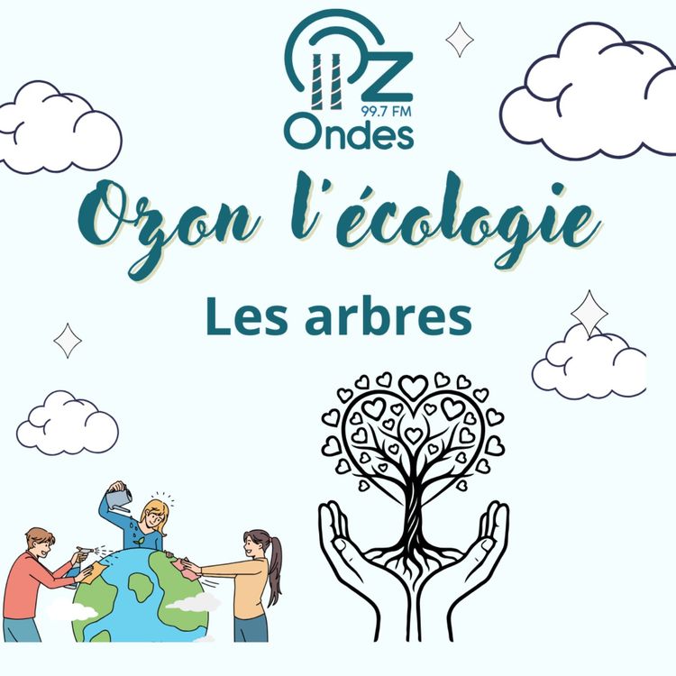 cover art for Ozon l'écologie l'hebdo - Les Arbres : Intelligence, Droits et Stratégies pour une Coexistence Durable
