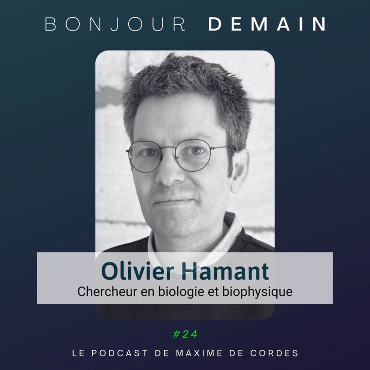 cover art for #24|Olivier Hamant, Chercheur en biologie et biophysique