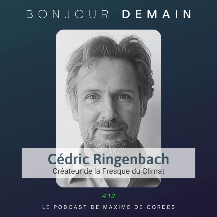 cover art for #12｜Cédric Ringenbach, Créateur de la Fresque du Climat