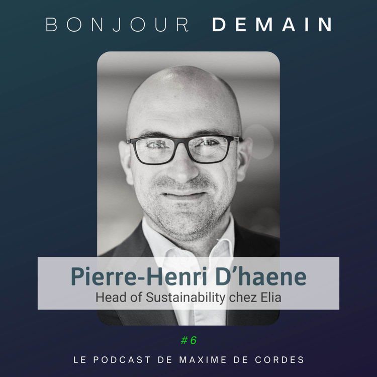 cover art for #6|Pierre-Henri D'haene, Head of Sustainability chez Elia