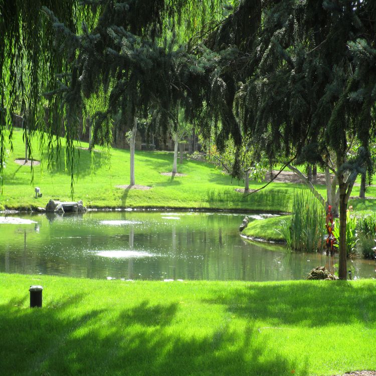 cover art for The Benefits of Natural Swimming Ponds