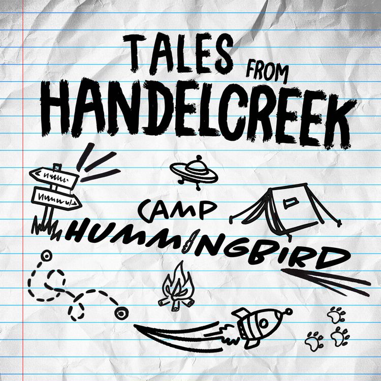 cover art for Welcome to Camp Hummingbird