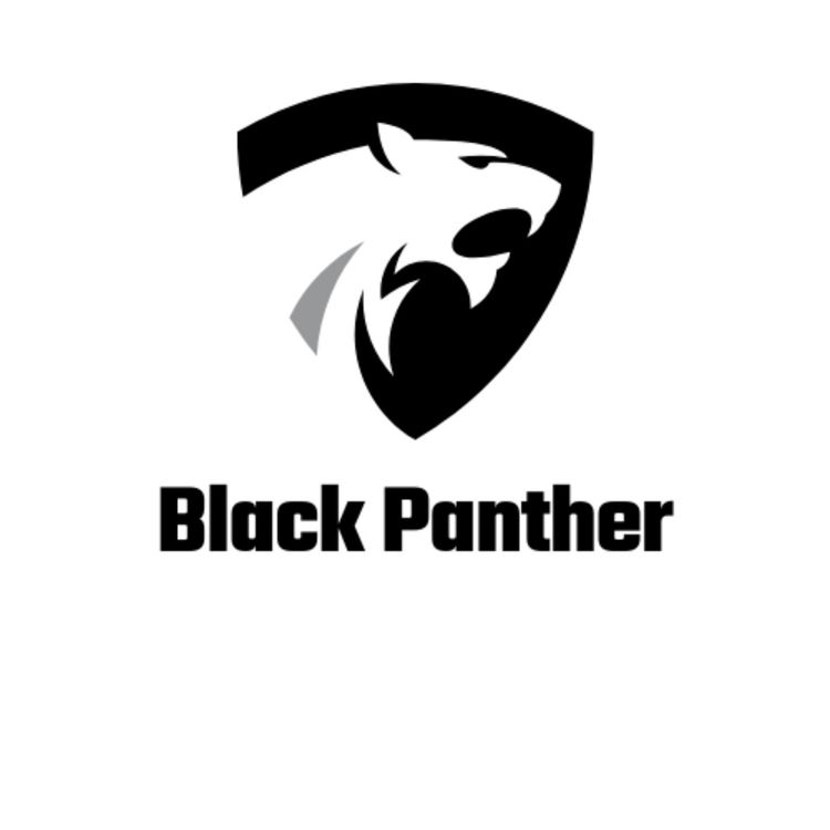 cover art for Black Panther 2 