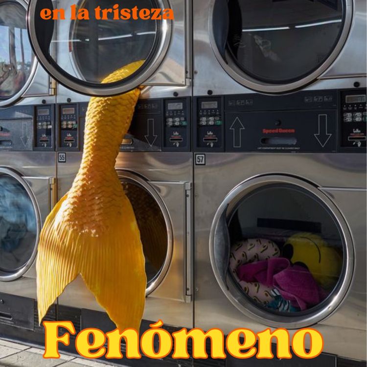 cover art for Fenomeno "En la tristeza"