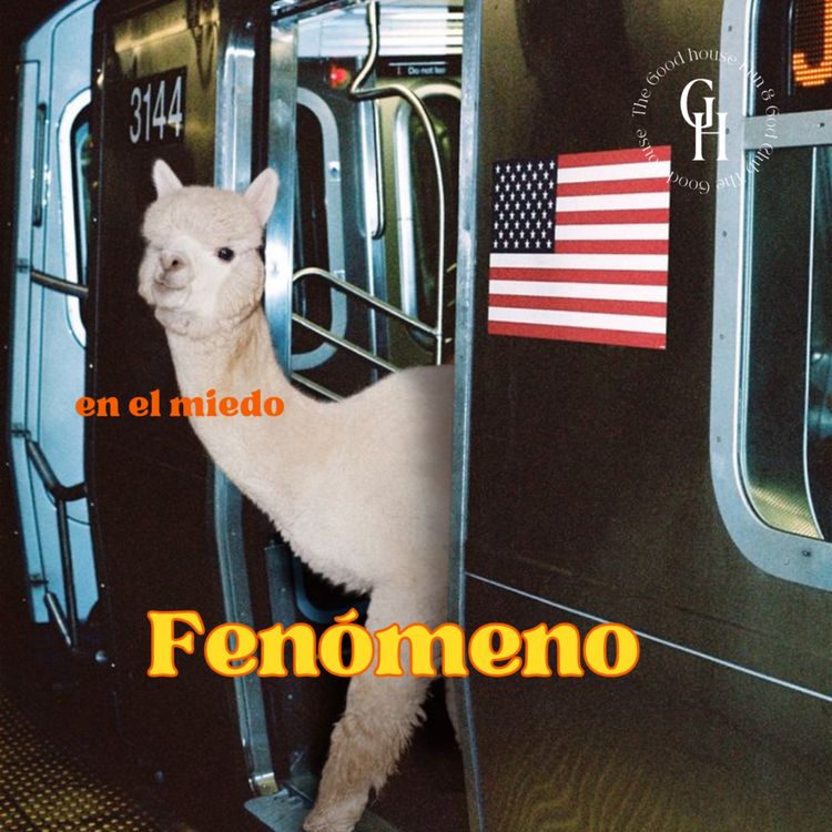 cover art for Fenomeno en el miedo
