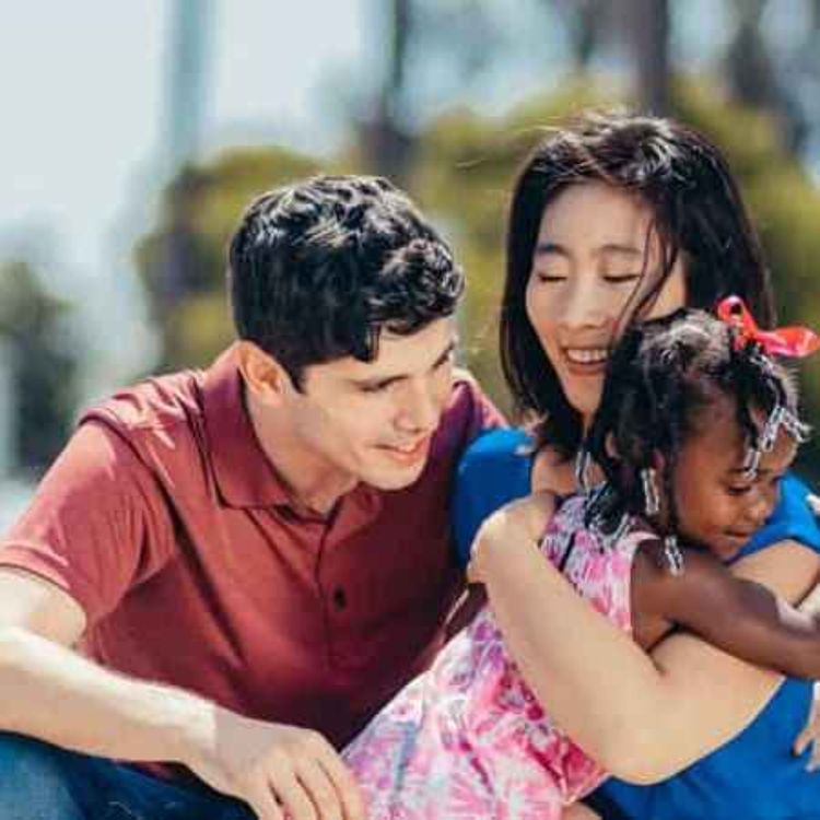 cover art for How To Prepare for the Adoption Process