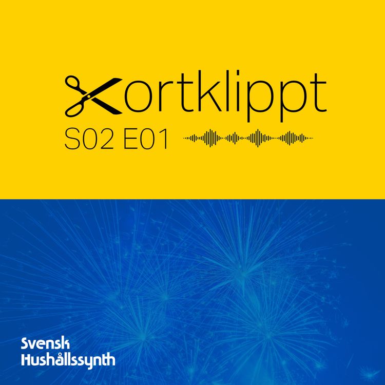 cover art for #10 Nytt år, nya synthinköp - vad ska man tänka på?