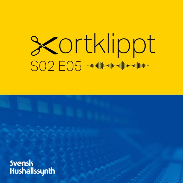 cover art for #14 Mixning av egna och andras låtar