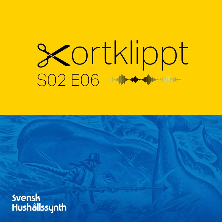 cover art for #15 Vad gör en synth klassisk?