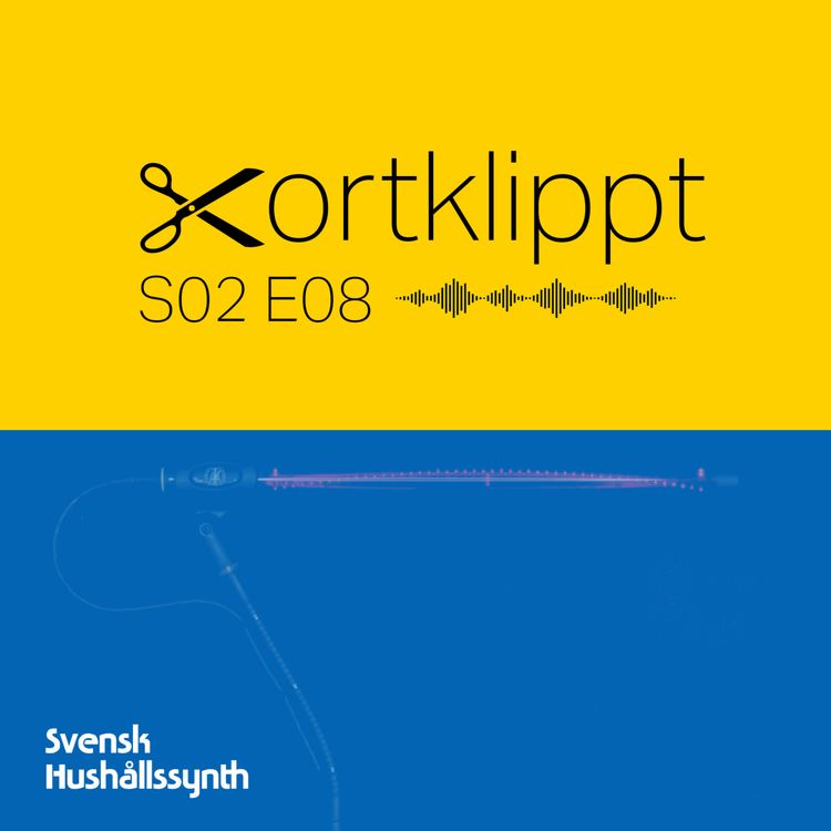 cover art for #17 Synklamppinnen