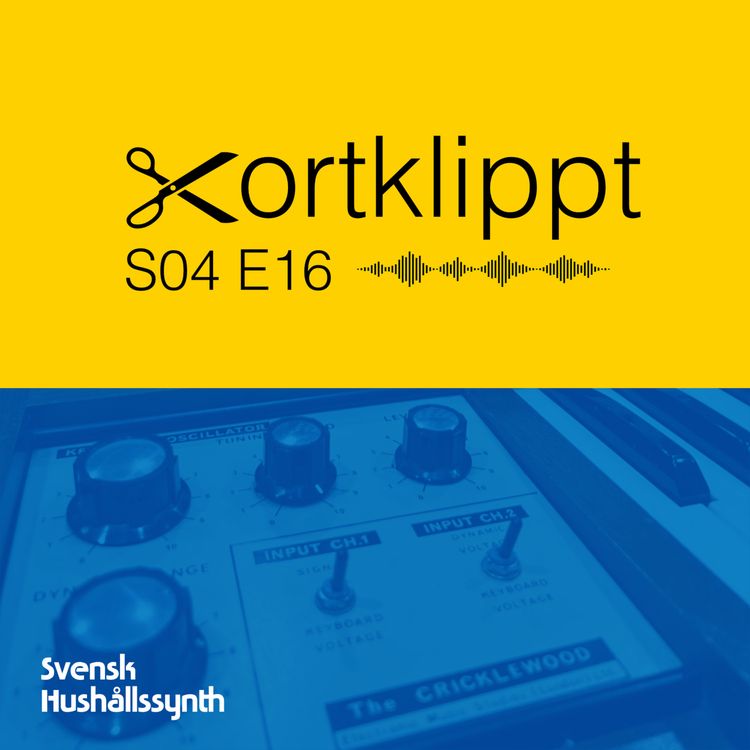 cover art for #79 Tvårösters synthar och skånejam