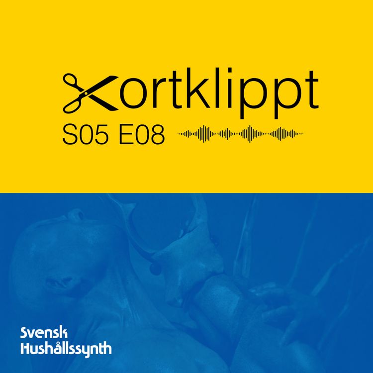 cover art for #97 Röstsamplingar i elektronisk musik