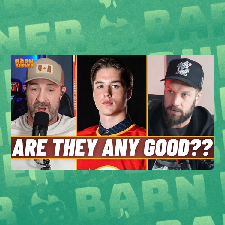 cover art for Do The Flames Have Anyone Who Can CHANGE The Franchise?? | BB Clips