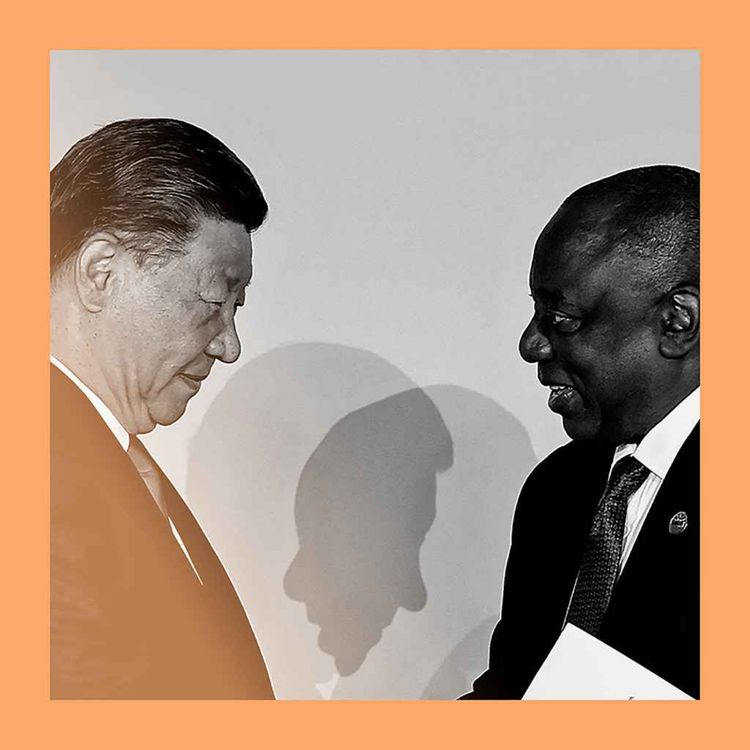 cover art for Trump card: could China pose a solution for South Africa?