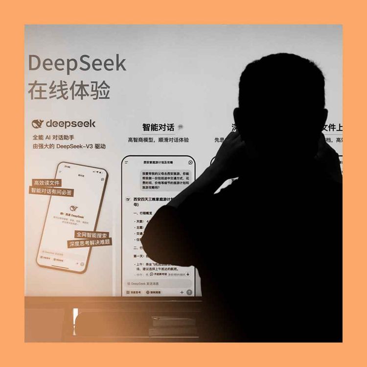 cover art for China’s DeepSeek year 