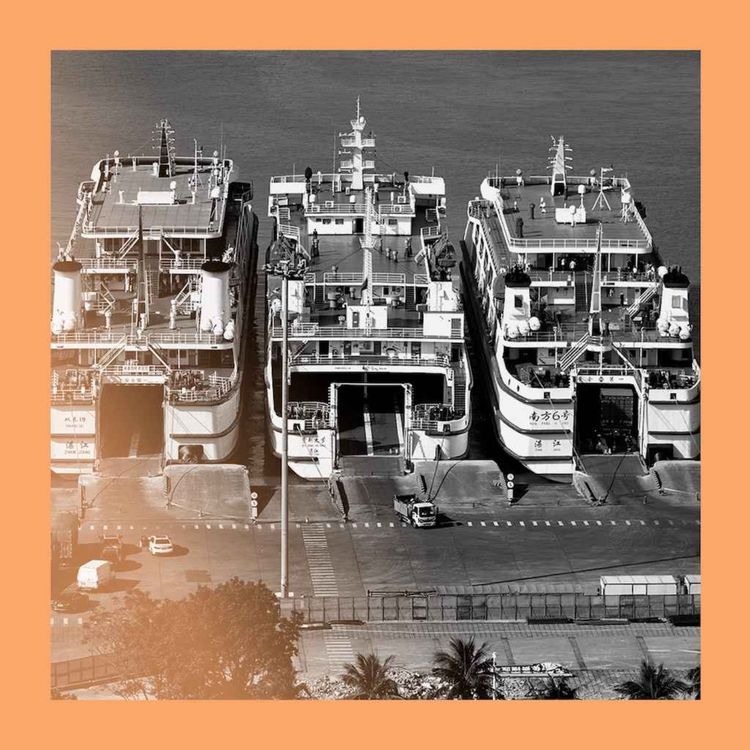 cover art for China’s tropical free-trade experiment