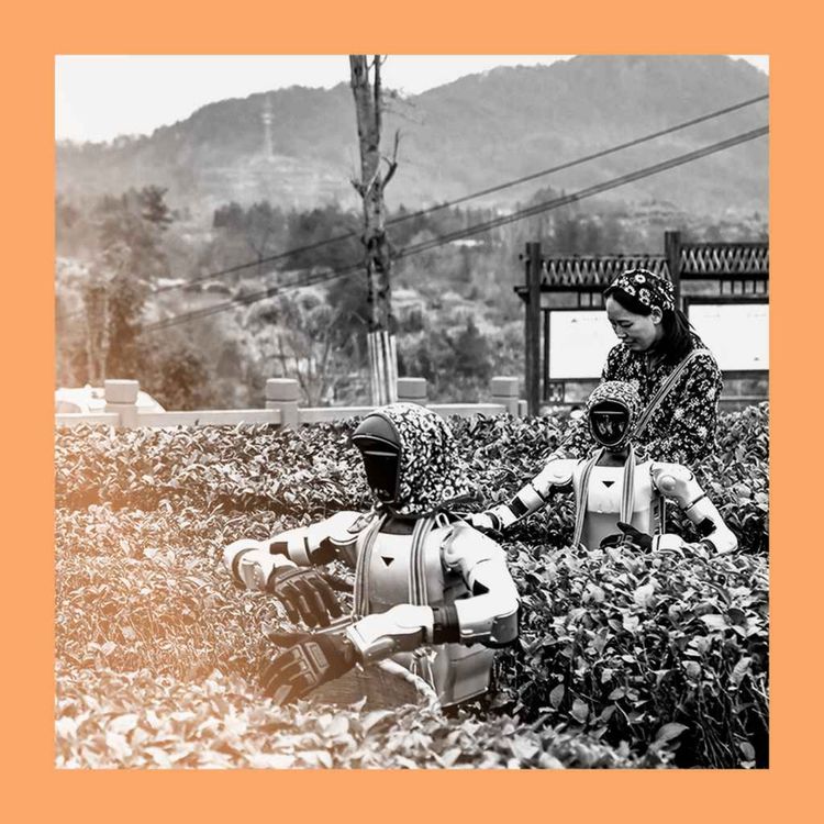 cover art for China's AI jobs threat