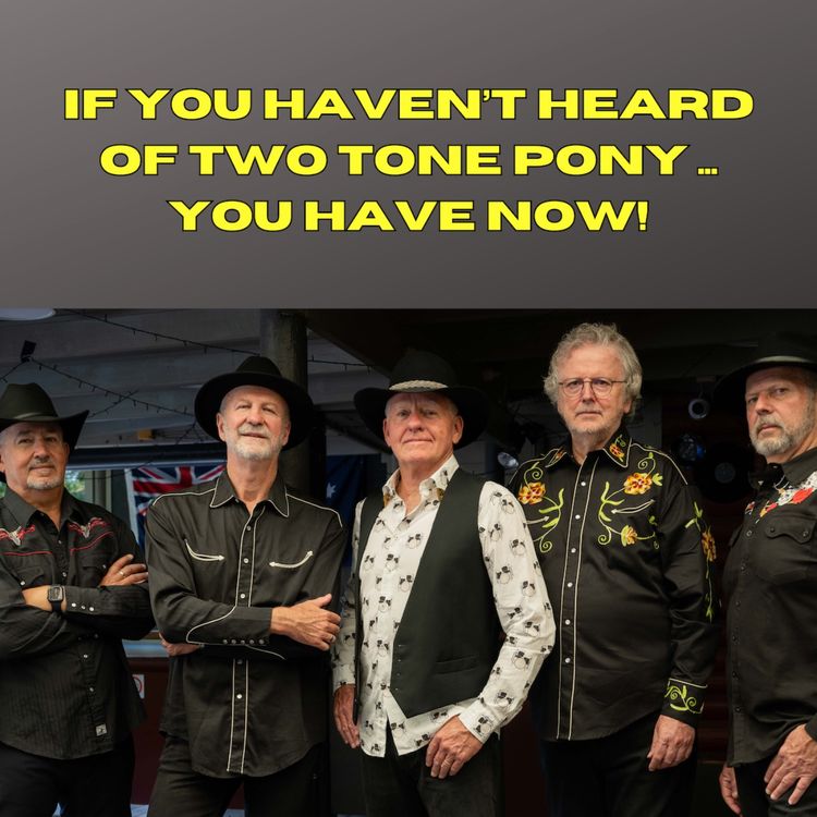 cover art for If you haven’t heard of Two Tone Pony … you have now!