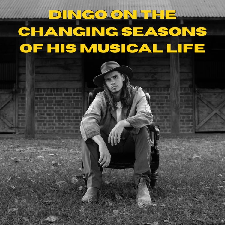 cover art for Dingo on the changing seasons of his musical life