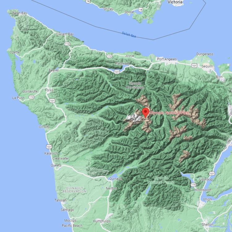 cover art for 19 - SPECIAL! John and Onlap