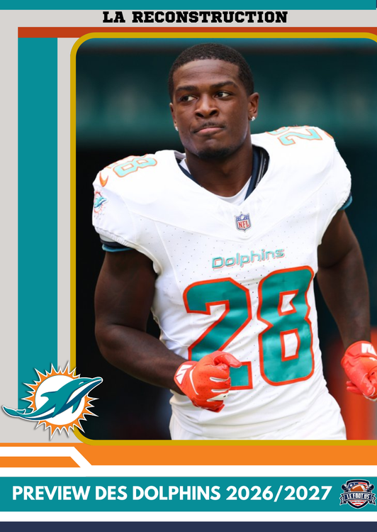 cover art for #14 Les Dolphins la reconstruction 