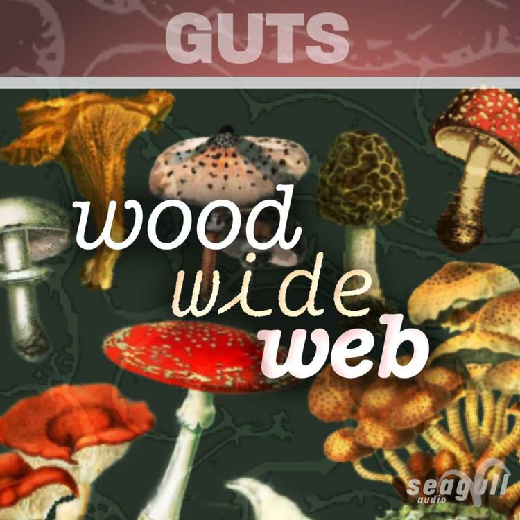 cover art for Wood Wide Web