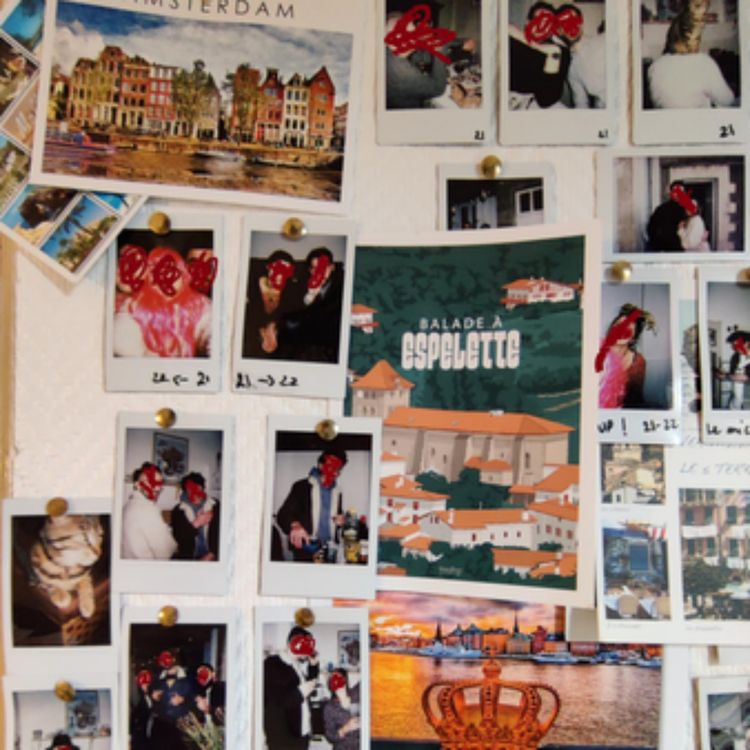 cover art for Les 3 cercles et la demi-baguette