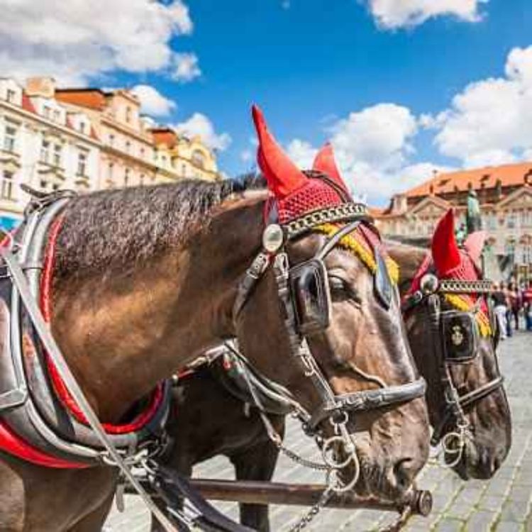 cover art for Getting around Prague Public transport and travel guide