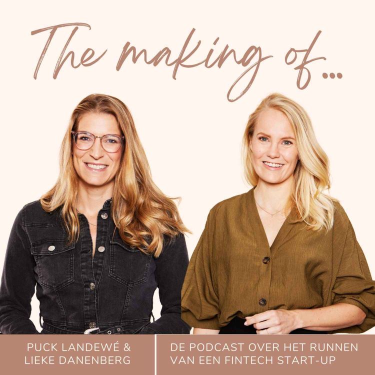 cover art for #8 hoe ontwikkel je een technisch product om je bedrijf schaalbaar te maken?