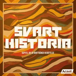 cover art for Svart historia