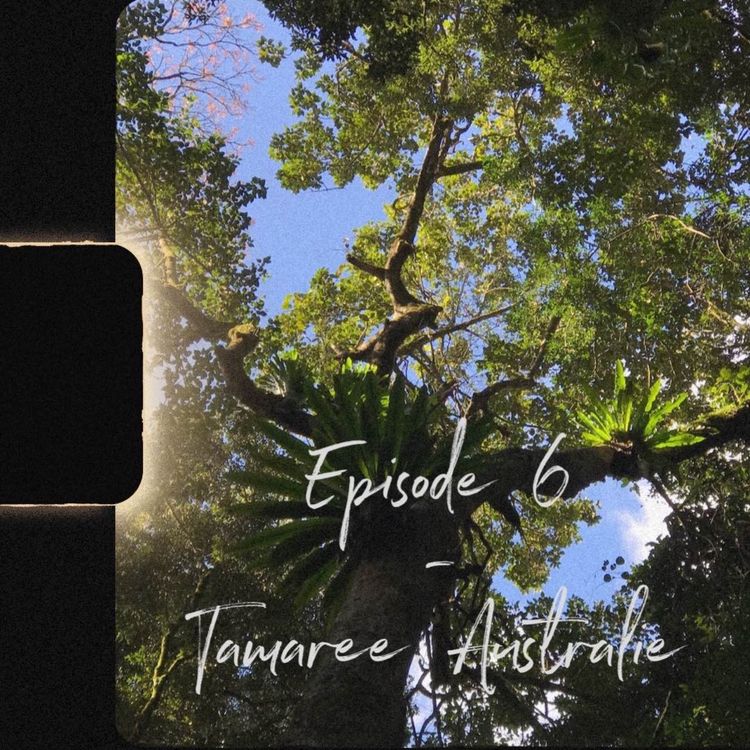 cover art for Australie, Tamaree - Épisode 6