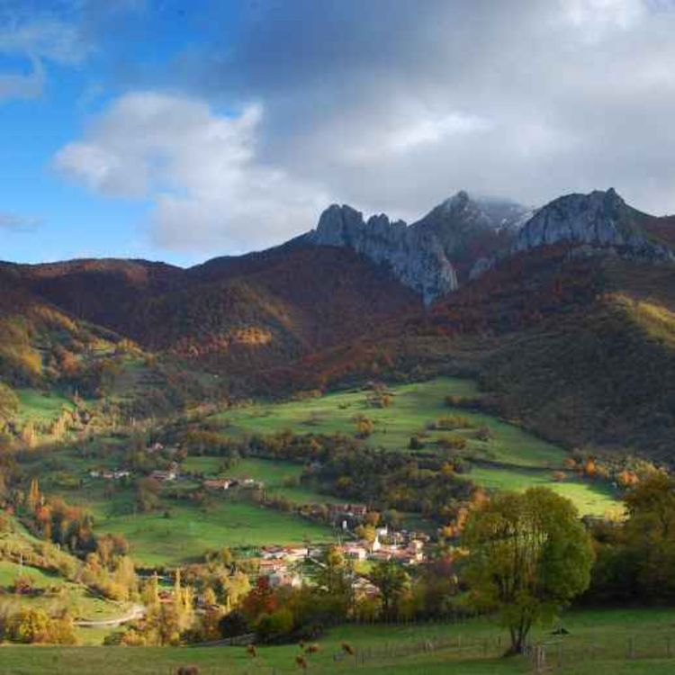cover art for Cowbells in the Picos de Europa National Park, Spain. November 2012