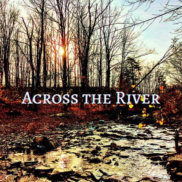 cover art for Your Pet is Immortal, Goodbye